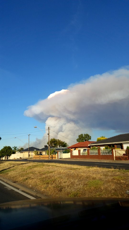Sampson flat 2015 plume