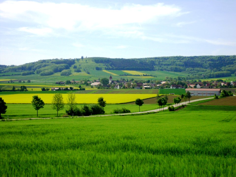 Sammenheim 2012-05-11