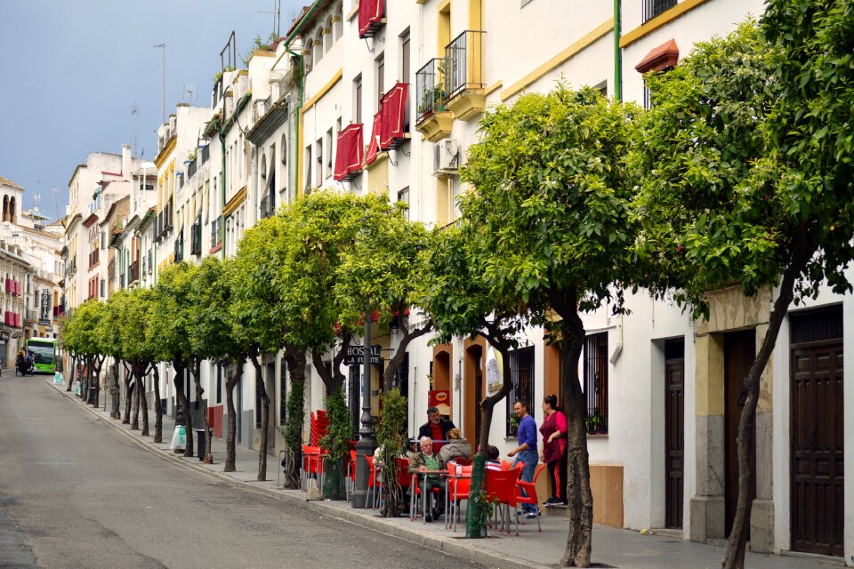 Relaxed lifestyle andalusia photo