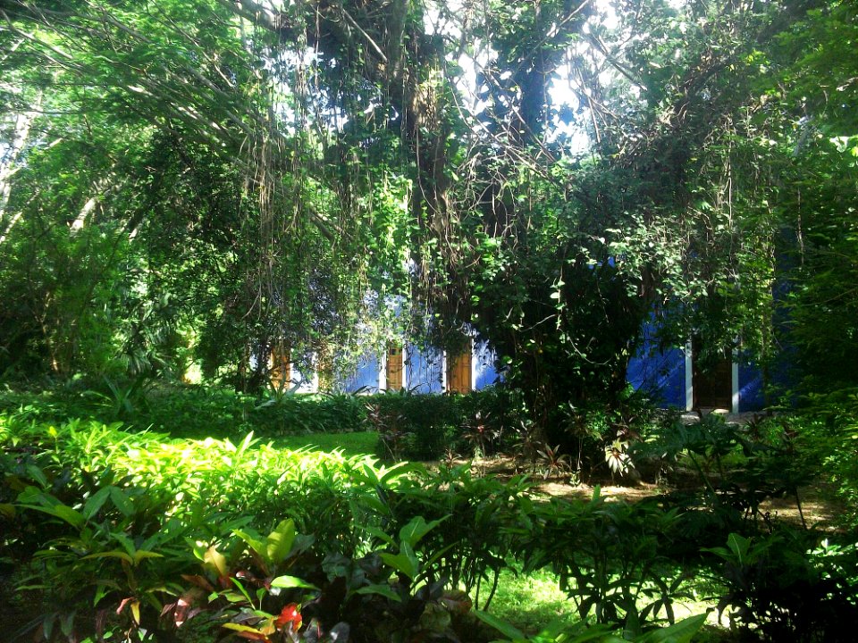 San José Cholul, Yucatán (08)