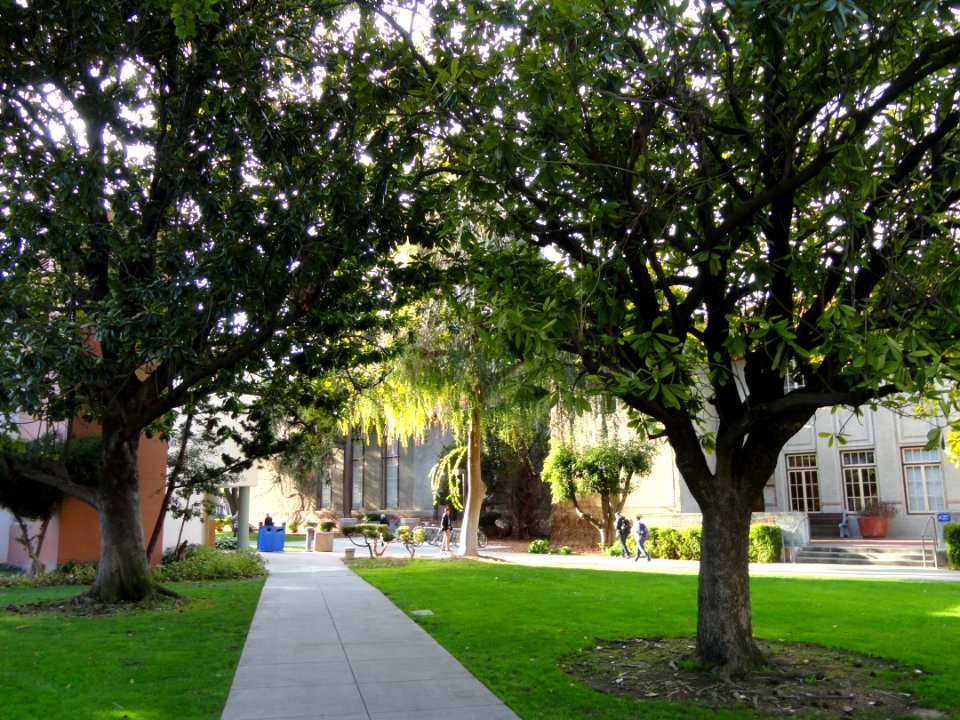 San José State University - DSC03937