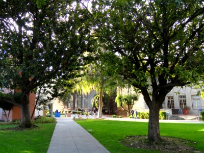 San José State University - DSC03937
