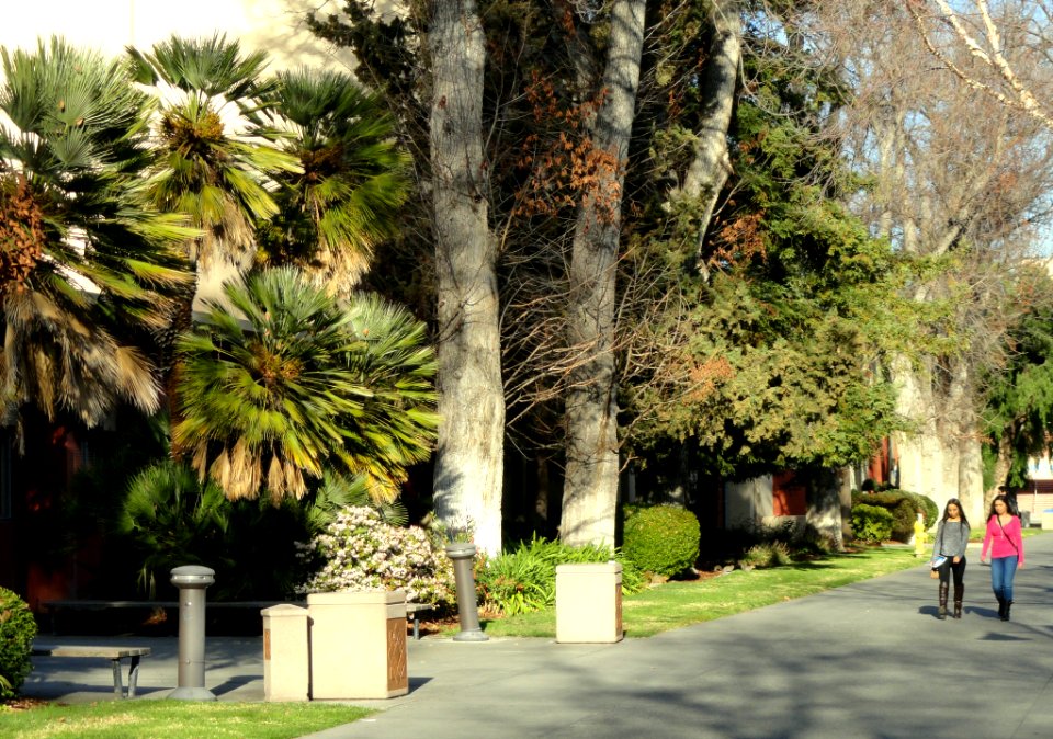 San José State University - DSC03945