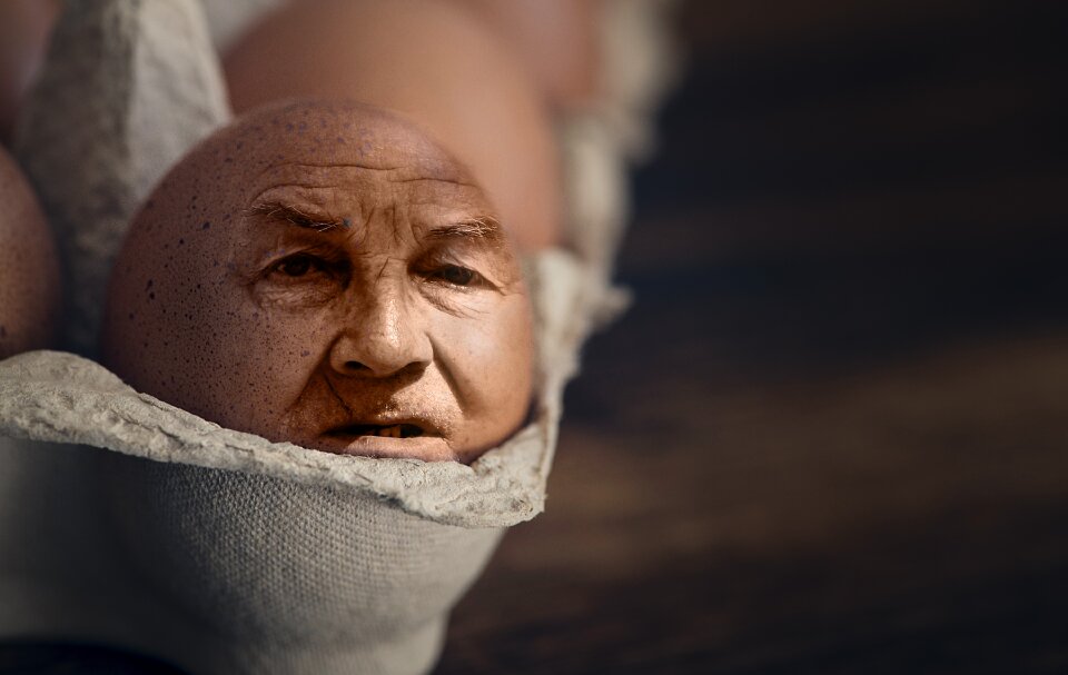 Photoshop chicken eggs face