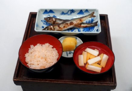 Sample everyday meal, sardines, cooked tofu, white rice, pickles - Edo-Tokyo Museum - Sumida, Tokyo, Japan - DSC06694