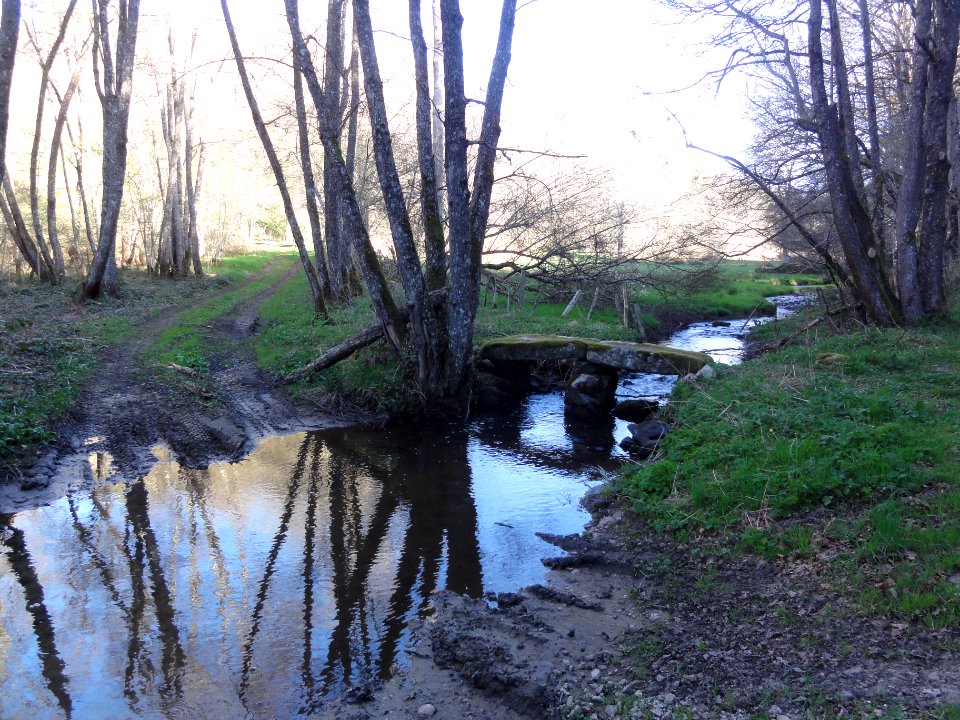 Saint-Julien-la-Geneste (Puy-de-Dôme) ruisseau Auzelle