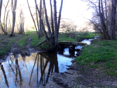 Saint-Julien-la-Geneste (Puy-de-Dôme) ruisseau Auzelle