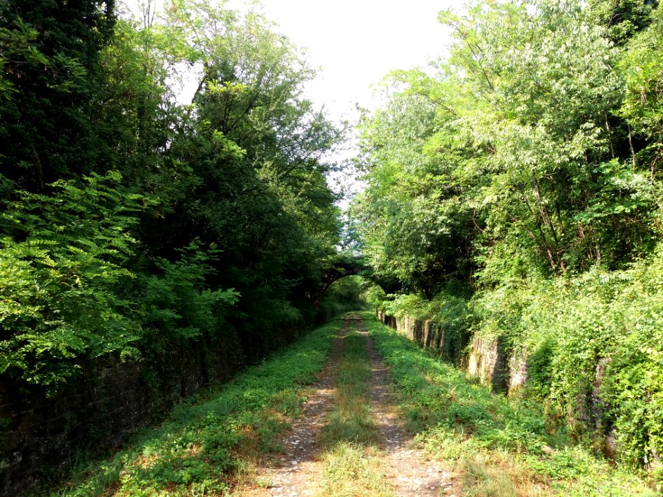 Saint-Maurice-d'Ardèche - Voie verte - Voie et pont