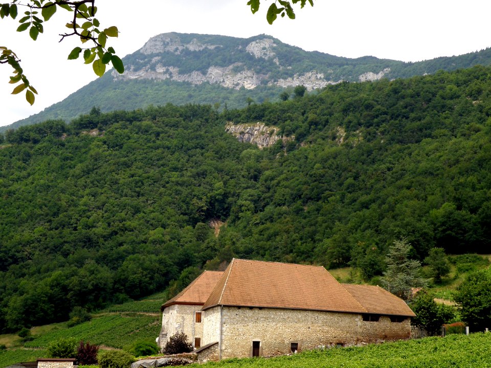 Saint-Jean-de-Chevelu Château de Bergin 6