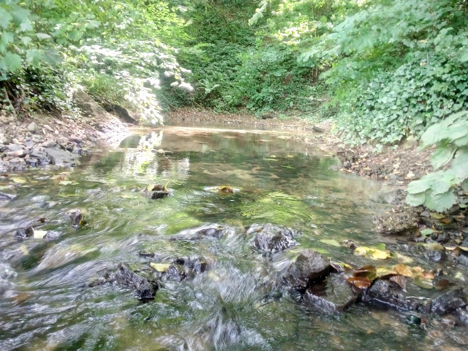 Salzach, Enzbrunnen, Bretten-Ruit (3)