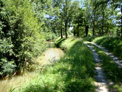 Saint-Paulet (Aude, Fr) La Rigole de la Plaine