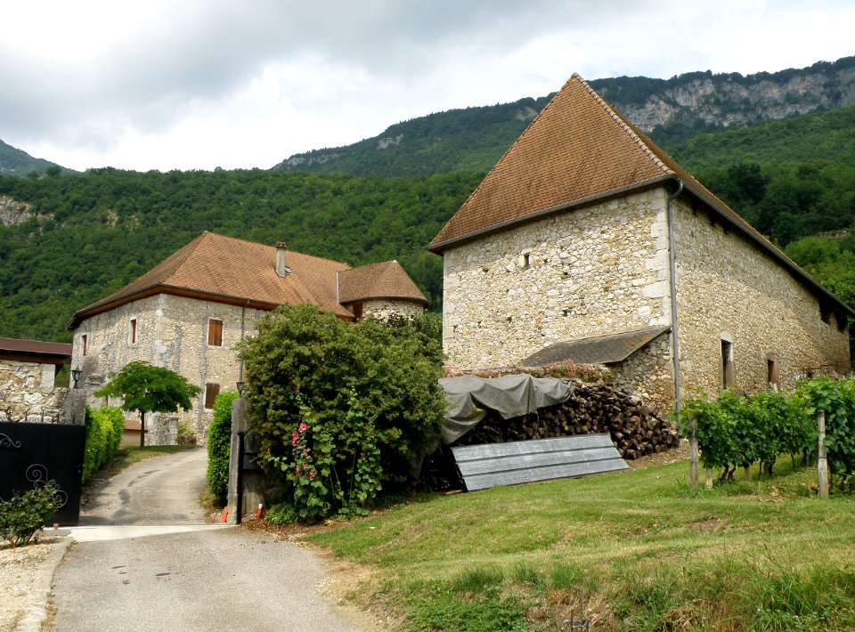 Saint-Jean-de-Chevelu Château de Bergin 13