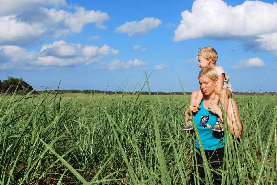 Field love beautiful
