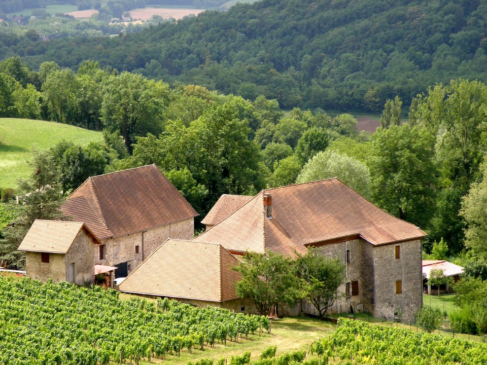 Saint-Jean-de-Chevelu Château de Bergin 3