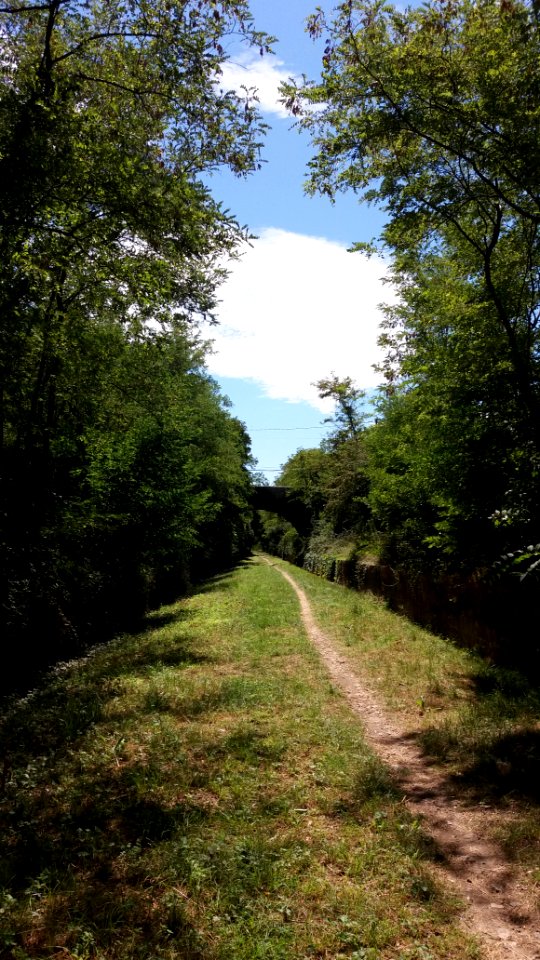Saint-Maurice d'Ardèche - voie verte 2
