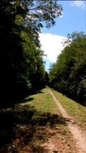 Saint-Maurice d'Ardèche - voie verte 1