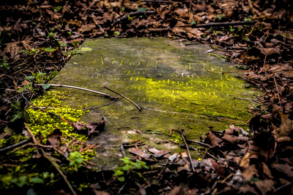 Cemetery tomb graves