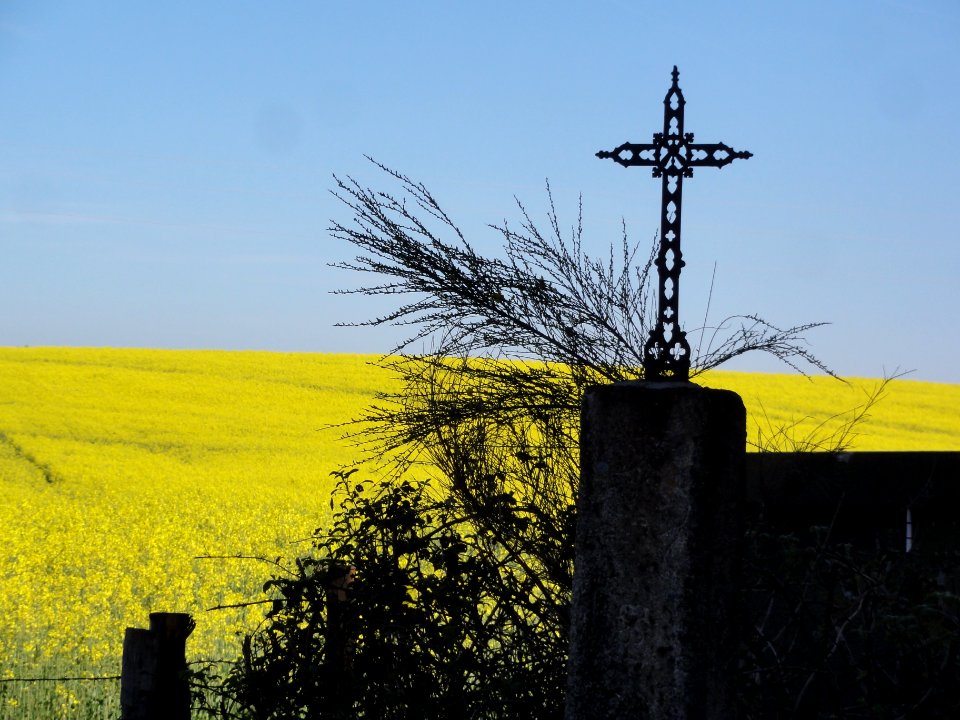 Saint-Maigner (Puy-de-Dôme) croix de chemin Les Camines