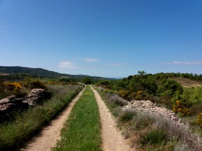 Saint-Maurice d'Ardèche - Chemin 2