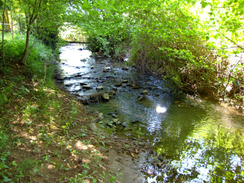 Saint-Martin-sous-Montaigu (Saône-et-Loire, Fr) L'Orbise avec passerelle