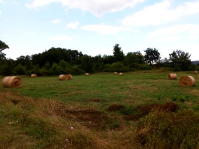Saint-Maurice d'Ardèche - Meules de foin