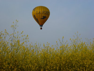 Saint-Sylvestre-Cappel (Nord, Fr) B. Montgolfière