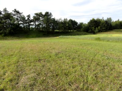 Saint-Thomas (Aisne) camp des Romains (04)