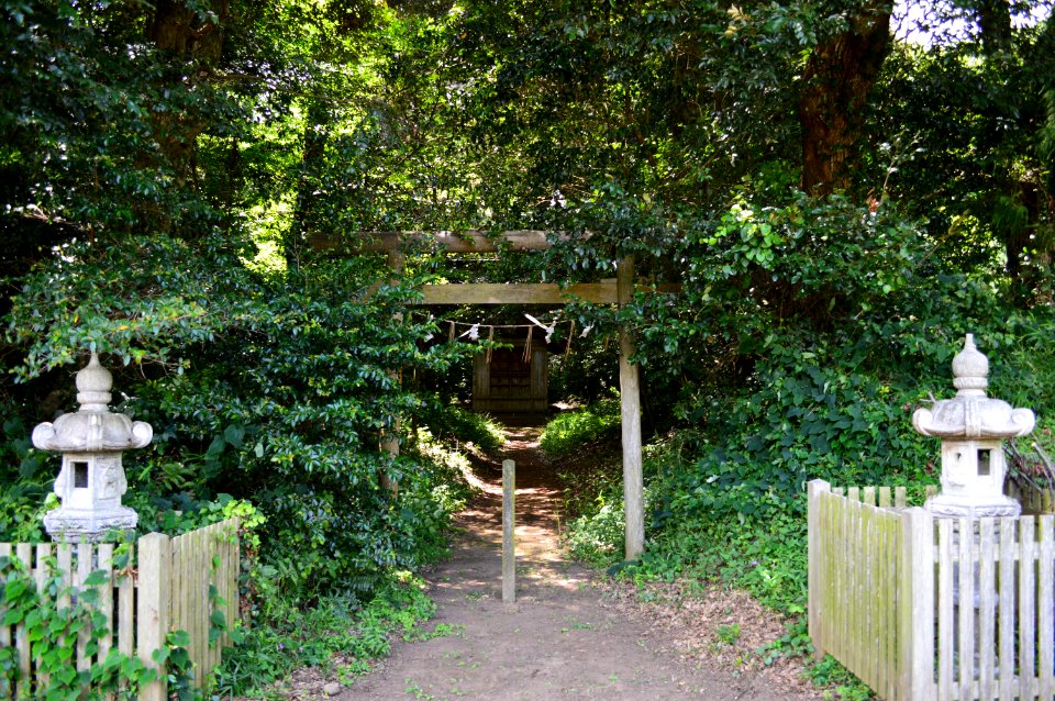Sakato-jinja (Kashima-jingu sessha) torii