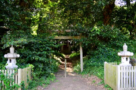 Sakato-jinja (Kashima-jingu sessha) torii photo