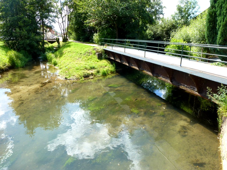 Saint-Martin-d'Hardinghem (Pas-de-Calais, Fr) rivière L'Aa