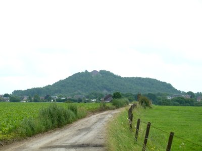 Saive-tilleul de Miermont (5)