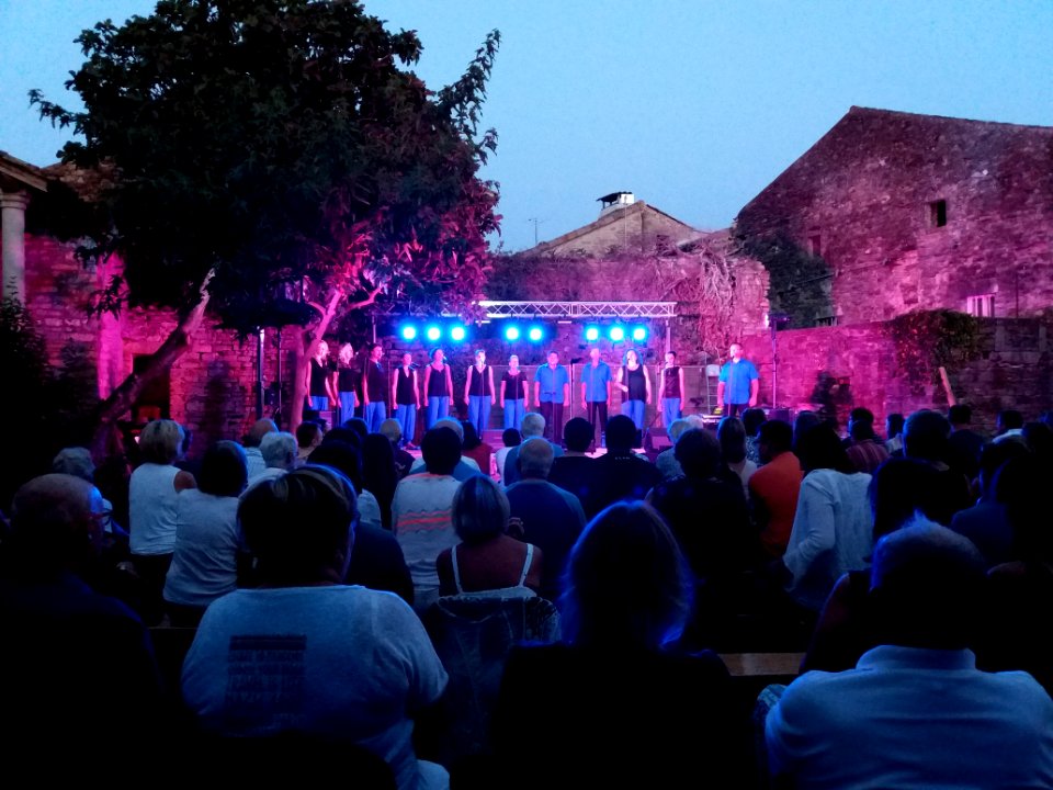 Saint-Maurice-d'Ardèche - Concert de Vocastreet (1)