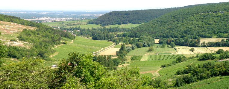 Saint-Romain Ruisseau du Verger