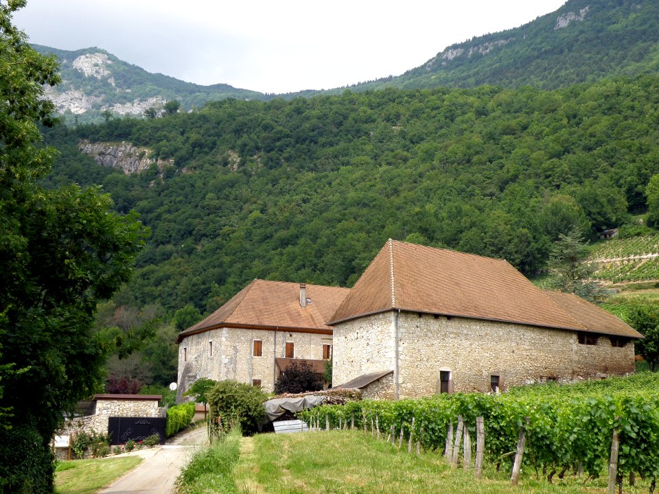 Saint-Jean-de-Chevelu Château de Bergin 11