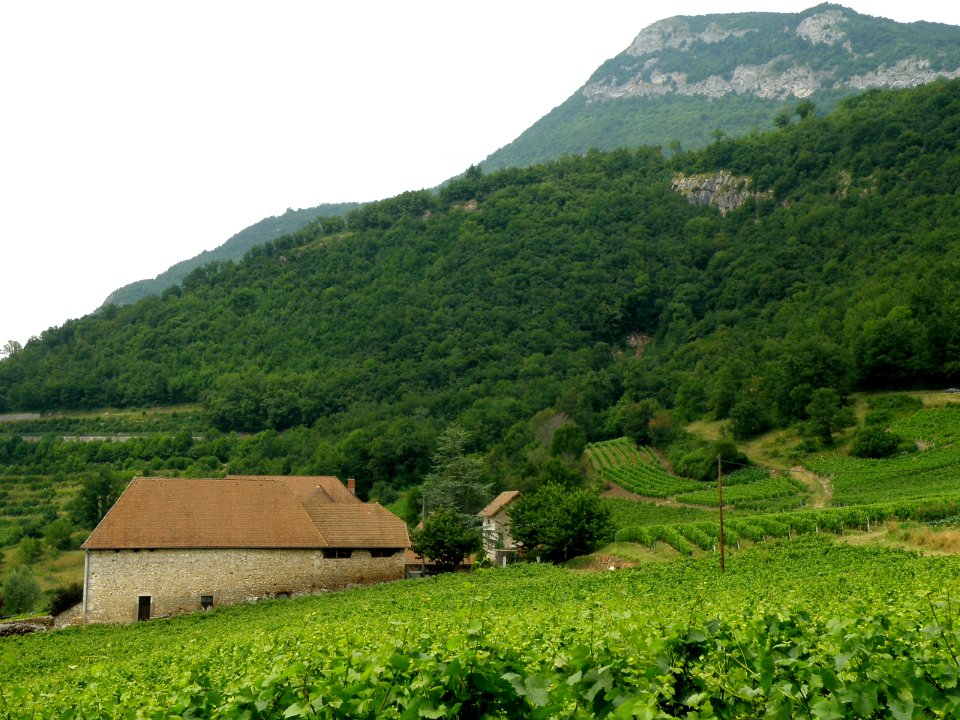 Saint-Jean-de-Chevelu Château de Bergin 9