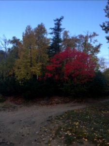 Sakhalinian autumn 06