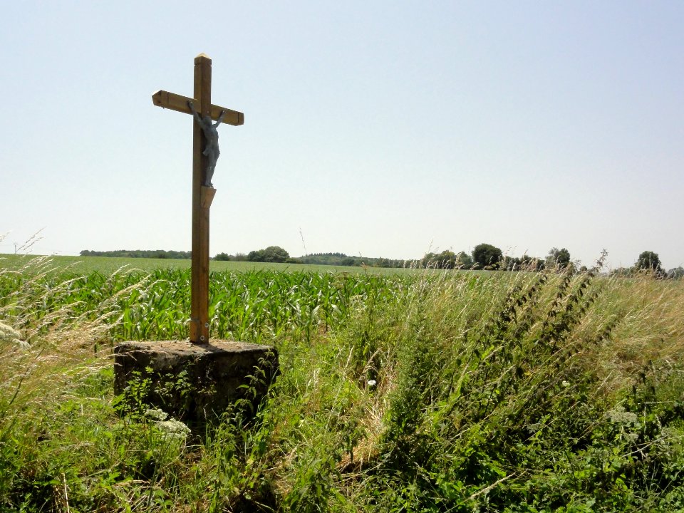 Saint-Rémy-de-Sillé (Sarthe) croix au Petit Noyer