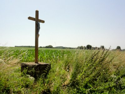 Saint-Rémy-de-Sillé (Sarthe) croix au Petit Noyer
