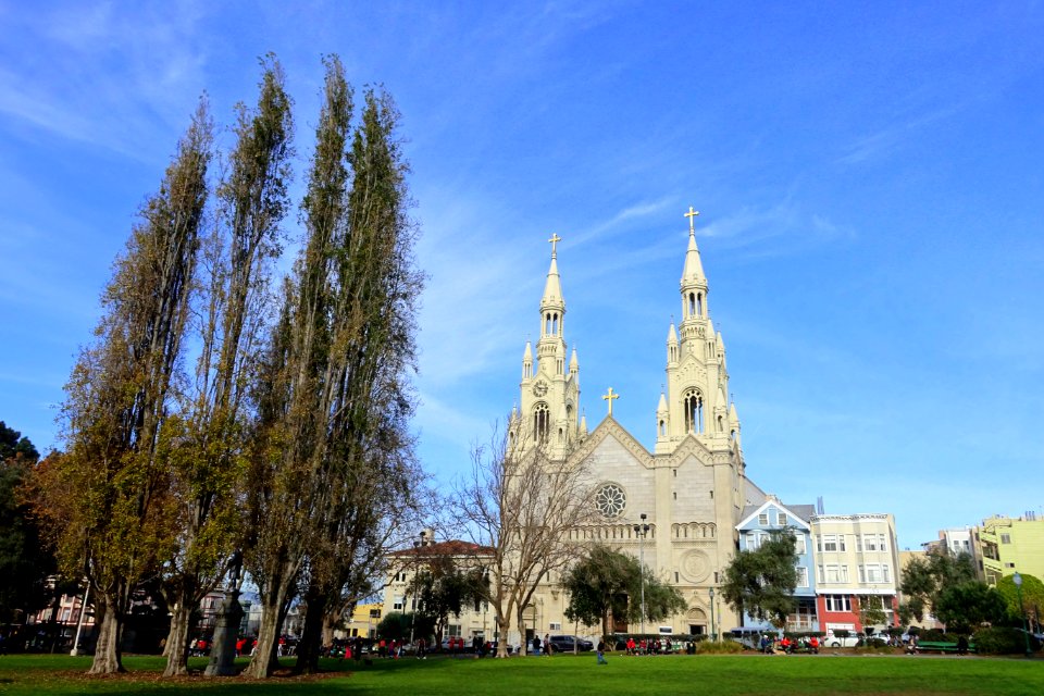 Saints Peter and Paul Catholic Church from Washington Square - San Francisco, CA - DSC02640
