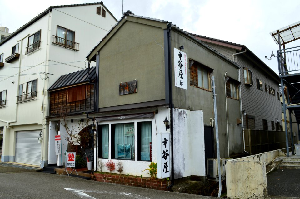 Saitaniya-ato, gaikan