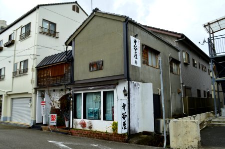 Saitaniya-ato, gaikan
