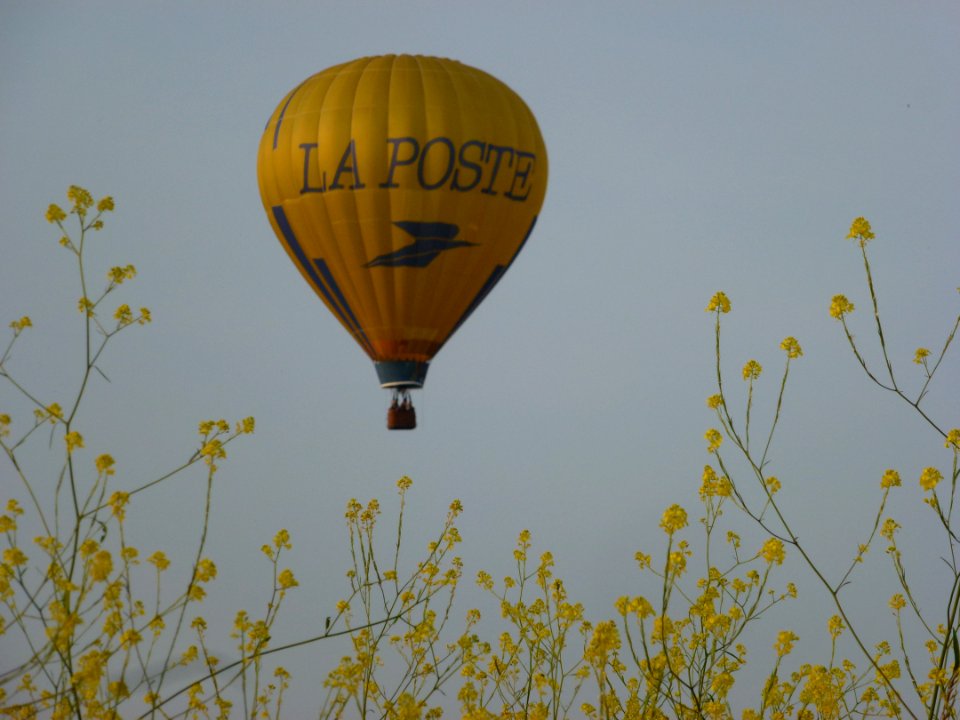Saint-Sylvestre-Cappel (Nord, Fr) A, Montgolfière