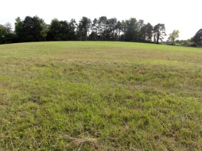 Saint-Thomas (Aisne) camp des Romains (02)