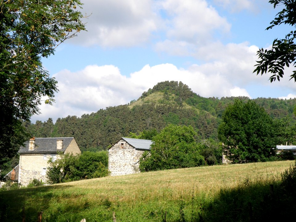 Saint-Nectaire Puy de Châteauneuf1