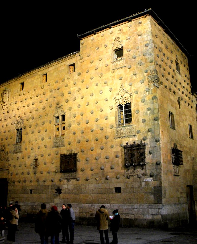 Salamanca - Casa de las Conchas 26
