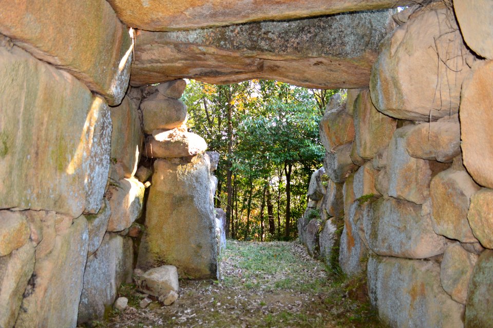 Sakoyama Kofun Group-1, genshitsu-2