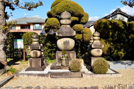Sairin-ji (Habikino), gorintou