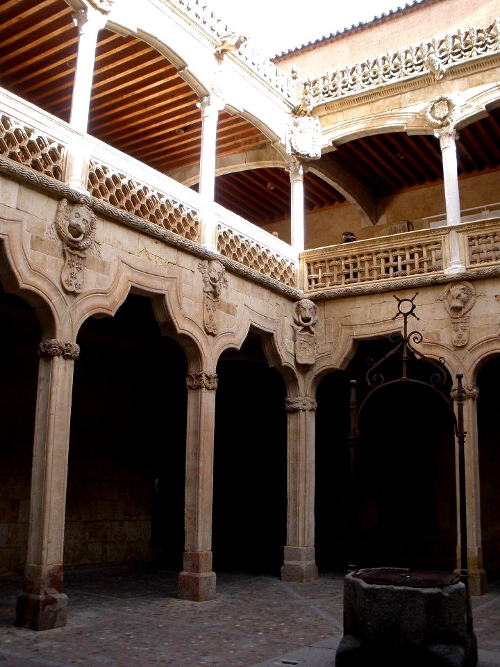 Salamanca - Casa de las Conchas 23