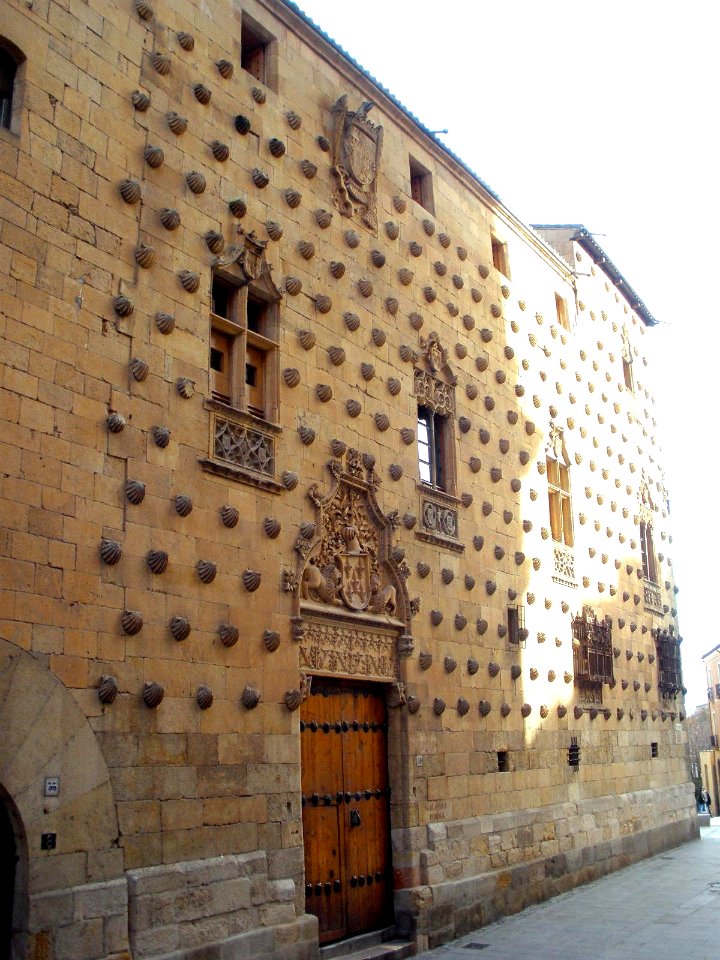 Salamanca - Casa de las Conchas 09