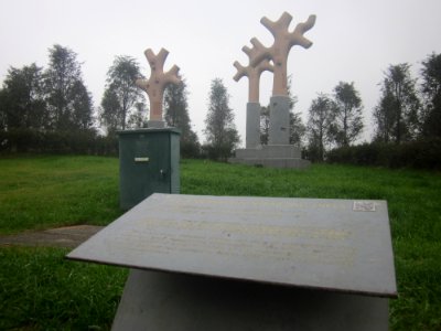 Sakari Peltola - Still Standing Trees